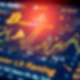 User Interface of a Leading Crypto Wallet Visual representation of a popular cryptocurrency wallet interface.