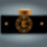 Overview of Ergo crypto wallet features and functionalities