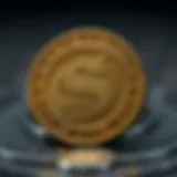 Visual representation of Shiba Coin symbol