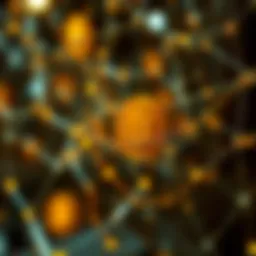 Visual representation of interconnected blockchains