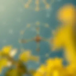 Decentralized network architecture diagram