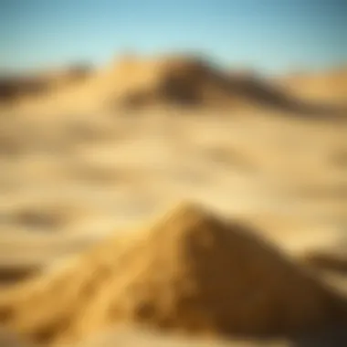 Factors Influencing Sand Market Behavior Infographic showing factors influencing Sand market behavior