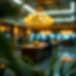 Overview of the Apiary Fund's investment strategy