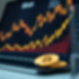 Graph depicting Bitcoin's price peaks over time