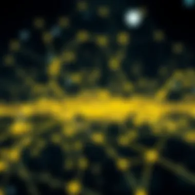 Interconnected Blockchain Nodes A network of interconnected blockchain nodes