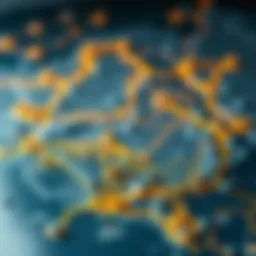 Visual representation of the Helium Miner Map showcasing nodes and coverage areas.